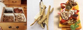 traditional-chinese-medicine traditional-chinese-medicine