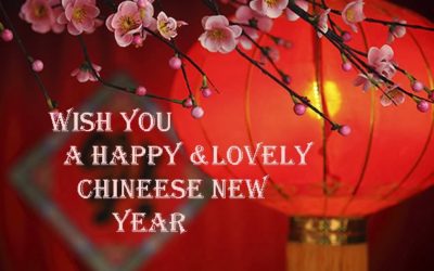 Happy Chinese New Year to you all! Kung Hei Fat Choy!