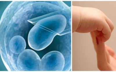 Audrey’s Success Stories