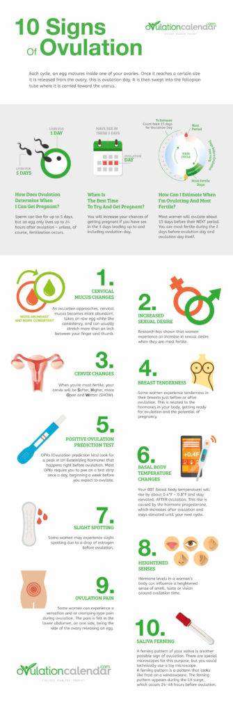 10_Signs_of_Ovulation