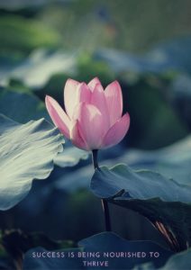 Success is being nourished to thrive (2)