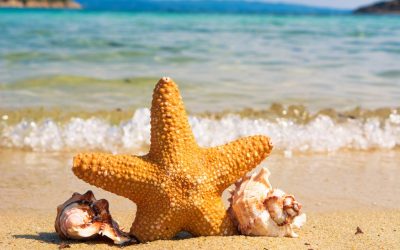 Yoga Postures for Kidney & Liver Health