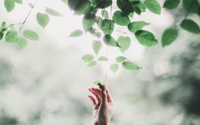 In Between Time Treatment