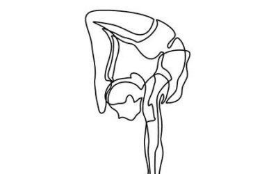 Autoimmune Disease Weight Issues