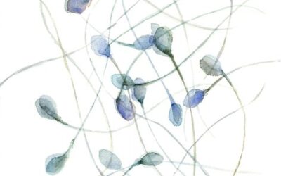 Chemicals that affects fertility