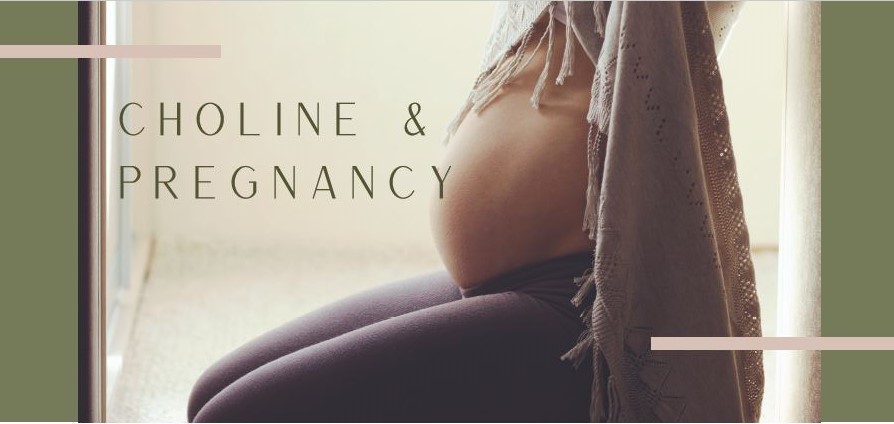 Choline and Pregnancy by Azura