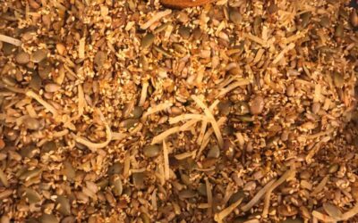 Turmeric Seed Mix