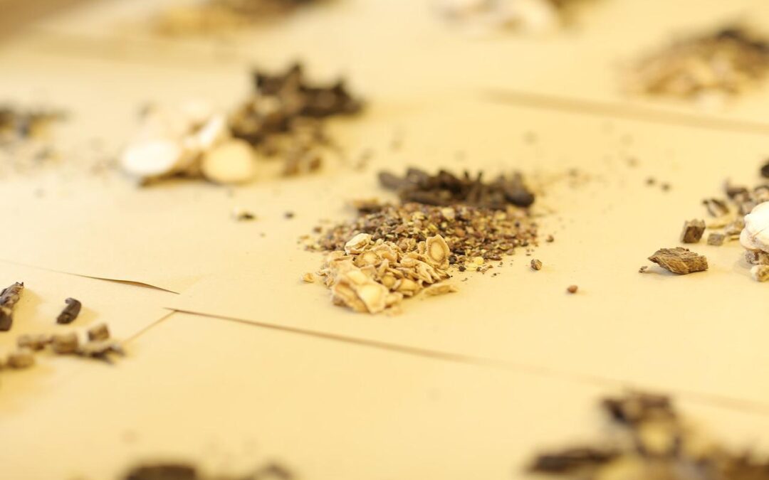 Treating Eczema in Children with Herbs & Shonishin