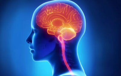 Is NLP Recognised in Australia? How to Transform Your Life with NLP Techniques