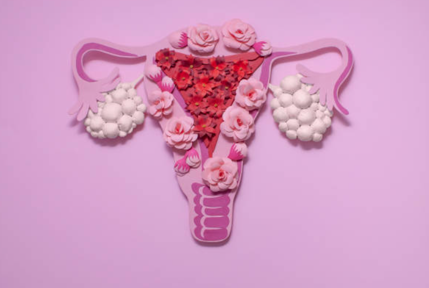 Regulating menstrual cycles