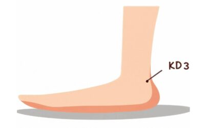 Kidney & Longevity in Traditional Chinese Medicine