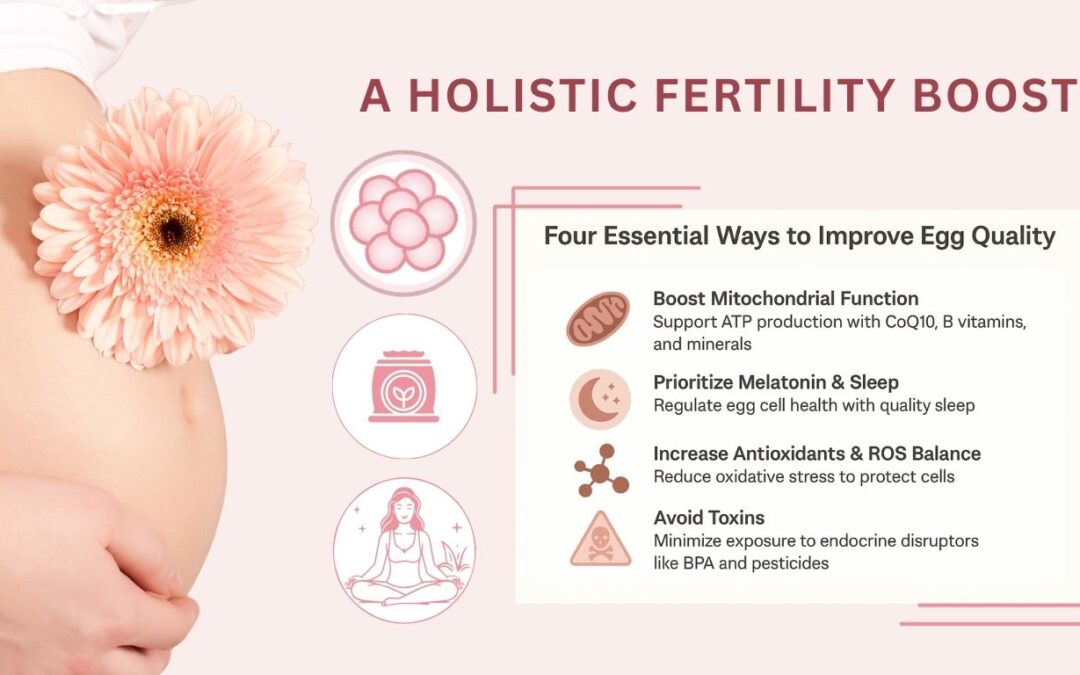 Improve Egg Quality Naturally A Holistic Fertility Boost