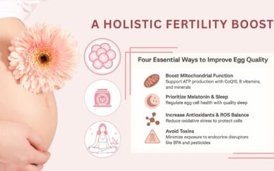 Improve Egg Quality Naturally: A Holistic Fertility Boost