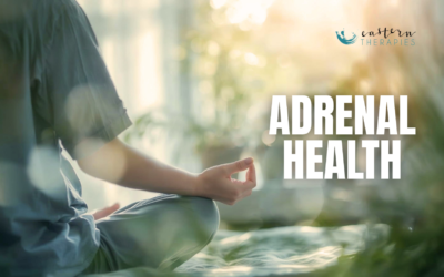 Adrenal Health & Stress Support: Best Adaptogenic Herbs for Energy, Nervous System Balance, and Vitality