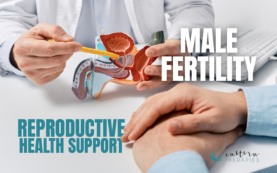 Is Male Fertility in Crisis? What Every Man Needs to Know About Sperm Health