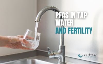 Does PFAS in Tap Water Affect Fertility? What a New Australian Study Means for Preconception Health