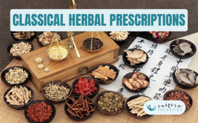 Why Not All Chinese Herbal Medicine Is the Same